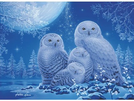 PUZZLE STAR LINE : CHOUETTES AU CLAIR 500 PIECES - COLLECTION NEON - RAVENSBURGER - 165957