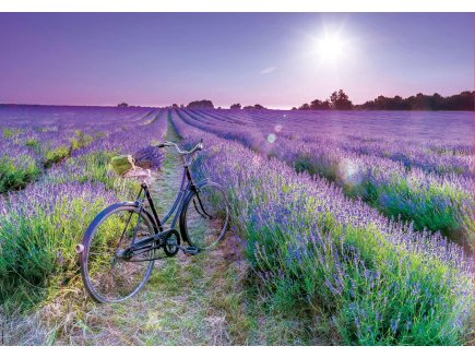 PUZZLE VELO DANS UN CHAMP DE LAVANDE 1000 PIECES - COLLECTION PAYSAGE - EDUCA 19255