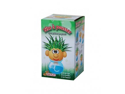 TETE D'HERBE A POUSSER MONSIEUR GAZON - PLANTE BONHOMME CHEVEUX - KIT JARDINAGE ENFANT