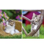 2 PUZZLES LES CHATONS A LA CAMPAGNE 500 PIECES - CHAT - COLLECTION ANIMAL - RAVENSBURGER - 172696