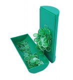 BOITE MAGNETIQUE VERT + 100 PIONS DE LOTO - RAMASSE JETONS & RANGEMENT - CARTALOTO