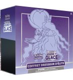 COFFRET POKEMON DRESSEUR D'ELITE VIOLET : SYLVEROY CAVALIER D'EFFROI - EPEE ET BOUCLIER REGNE DE GLACE 6