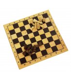 JEU D'ECHECS EN BOIS 29 x 29 CM - LONGFIELD GAMES - JEU DE STRATEGIE