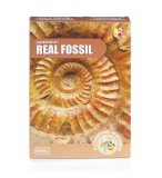 KIT DE FOUILLE FOSSILES - PALEONTOLOGIE / ARCHEOLOGIE - JEU SCIENCES