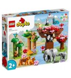 LEGO DUPLO 10974 ANIMAUX SAUVAGES D'ASIE