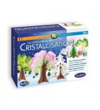 LES PHENOMENES DE CRISTALLISATION - SENTOSPHERE - 2805 - PLANETE SCIENCE