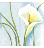 LOT DE 10 SERVIETTES EN PAPIER CALLA - SERVIETTAGE