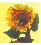 LOT DE 10 SERVIETTES EN PAPIER TOURNESOL : FLEURS - SERVIETTAGE