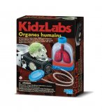 ORGANES HUMAINS - KIDZLABS 4M - KIT SCIENTIFIQUE ANATOMIE