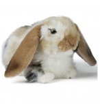 PELUCHE LAPIN MARRON AUX OREILLES TOMBANTES 27 CM - CLASSIC ANIMAUX DE LA FERME - LIVING NATURE 