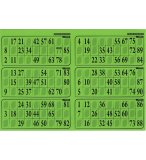 PLAQUE DE 6 GRILLES DE LOTO RIGIDE 1MM VERT MENTHE - CARTONS LOTO - LOTOQUINE