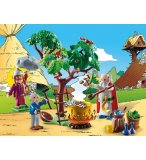 PLAYMOBIL ASTERIX 70933 PANORAMIX ET LE CHAUDRON DE POTION MAGIQUE