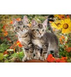 PUZZLE 2 ADORABLES CHATONS DANS LA NATURE - 1500 PIECES COLLECTION ANIMAUX FAMILIERS - CASTORLAND - 151899