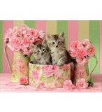 PUZZLE 2 CHATONS DANS UNE BOITE ET DES BOUQUETS DE ROSES 500 PIECES - COLLECTION ANIMAUX - EDUCA - 17960