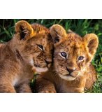 PUZZLE 2 MIGNONS LIONCEAUX 250 PIECES - NATHAN COLLECTION ANIMAUX DE LA SAVANE 86881