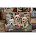 PUZZLE 3 CHIOTS DANS LA VALISE 500 PIECES - COLLECTION ANIMAUX - EDUCA - 17645