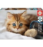 PUZZLE ANIMAUX : CHATON 200 PIECES - EDUCA - 17154