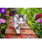 PUZZLE CHATON AU JARDIN 500 PIECES - COLLECTION TENDRESSE - NATHAN - 87185