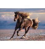 PUZZLE CHEVAL NOIR EN LIBERTE 1000 PIECES - COLLECTION ANIMAUX SAUVAGES - CLEMENTONI - 39420