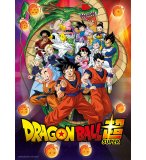 PUZZLE DRAGON BALL Z ET LES 7 BOULES DE CRISTAL : SONGOKU 1000 PIECES - COLLECTION MANGA - CLEMENTONI - 39919