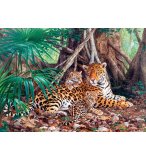 PUZZLE FAMILLE DE JAGUAR DANS LA JUNGLE  3000 PIECES - COLLECTION ANIMAUX SAUVAGES - FELIN