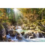 PUZZLE LE TORRENT  DANS LA FORET 2000 PIECES - COLLECTION PAYSAGE