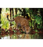 PUZZLE LEOPARD DANS LA JUNGLE 2000 PIECES - COLLECTION ANIMAUX SAUVAGE - CLEMENTONI - 32537