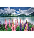 PUZZLE LUPINS SUR LES RIVES DU LAC DE SILS 1500 PIECES - COLLECTION PAYSAGE SUISSE - EDUCA - 19271