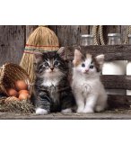 PUZZLE MIGNONS CHATONS 1000 PIECES - COLLECTION ANIMAUX DOMESTIQUES - CLEMENTONI - 39340