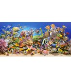 PUZZLE MONDE SOUS MARIN : POISSONS - RAIE 4000 PIECES - COLLECTION MER ET OCEAN