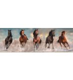 PUZZLE PANORAMA CHEVAUX BRUN ET NOIR QUI COURENT 1000 PIECES - COLLECTION ANIMAUX - CLEMENTONI - 39875