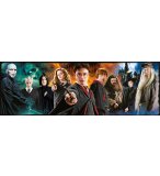 PUZZLE PANORAMA HARRY POTTER 1000 PIECES - COLLECTION FILM FANTASTIQUE - CLEMENTONI - 39873