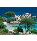 PUZZLE PLAGE DE PALOMBAGGIA 1000 PIECES - COLLECTION EVASION - CORSE - NATHAN 