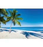 PUZZLE PLAGE PARADISIAQUE 1000 PIECES - COLLECTION MER ET VACANCES - RAVENSBURGER - 159895