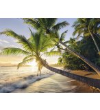 PUZZLE PLAGE PARADISIAQUE AU LEVE DU SOLEIL - 1500 PIECES COLLECTION PAYSAGE - RAVENSBURGER - 150151