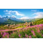 PUZZLE POLOGNE : GASIENICOWA VALLEE DANS LES MONTAGNES TATRAS 1000 PIECES - COLLECTION PAYSAGE ASIE ET MONTAGNE - CASTORLAND