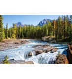 PUZZLE RIVIERE ATHABASCA DANS LE PARC NATIONAL JASPER - 1500 PIECES COLLECTION CANADA - CASTORLAND