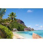 PUZZLE SEYCHELLES COIN PARADISIAQUE / PLAGE TROPICALE 3000 PIECES - COLLECTION PLAGE