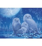 PUZZLE STAR LINE : CHOUETTES AU CLAIR 500 PIECES - COLLECTION NEON - RAVENSBURGER - 165957