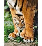 PUZZLE TIGRE DU BENGALE ET SON BEBE 500 PIECES - COLLECTION ANIMAUX SAUVAGES - CLEMENTONI - 35046