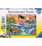 PUZZLE XXL LES ANIMAUX MARINS : DAUPHINS - ORQUE - TORTUE 100 PIECES - RAVENSBURGER - 10681