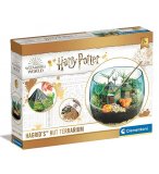 TERRARIUM HARRY POTTER : LA CABANE DE HAGRID - ECOSTYSTEME - CLEMENTONI - 19248