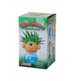 TETE D'HERBE A POUSSER MONSIEUR GAZON - PLANTE BONHOMME CHEVEUX - KIT JARDINAGE ENFANT