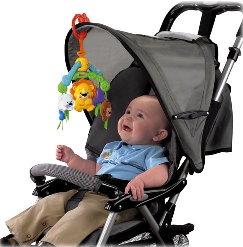 Poussette Fisher Price 18 Mois Free Shipping Available Poussette Fisher Price 18 Mois Free Shipping Available