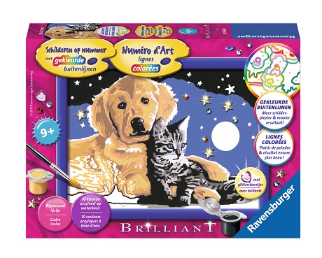 Numero D Art Brillant Nuit Etoilee Chien Et Chat Des 9 Ans