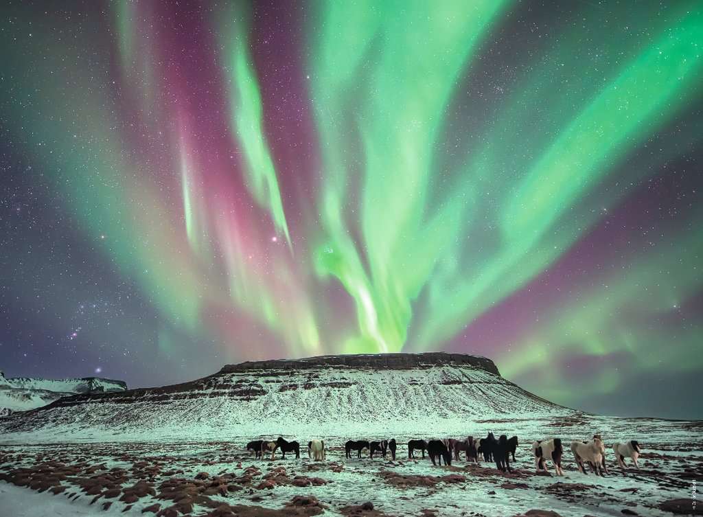 Ravensburger 45 Puzzle 500 Pieces Norvege Aurore Boreale Et Les Chevaux