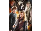 3 PUZZLES : HARRY POTTER 1000 PIECES - COLLECTION FILM FANTASTIQUE - CLEMENTONI 61884