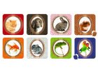 4 PUZZLES PROGRESSIFS ANIMAUX DOMESTIQUES 16 - 20 - 24 - 30 PIECES - JANOD - J02825