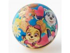 BALLON EN PLASTIQUE PAT PATROUILLE 23 CM - BALLE PVC PAW PATROL - JOHN - JEU PLEIN AIR, SPORT