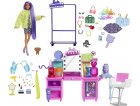 BARBIE METIER : LE CENTRE DE COIFFURE + 45 ACCESSOIRES + 1 CHIEN + 1 POUPEE MANNEQUIN COIFFEUSE - MATTEL - GYJ70